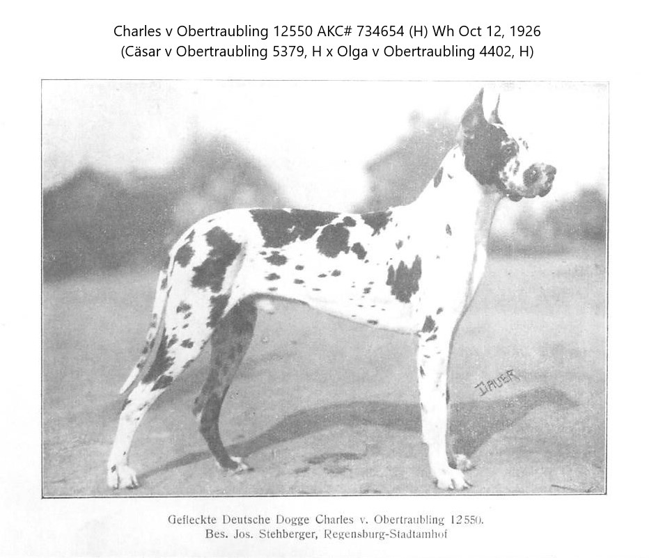 Charles v Obertraubling